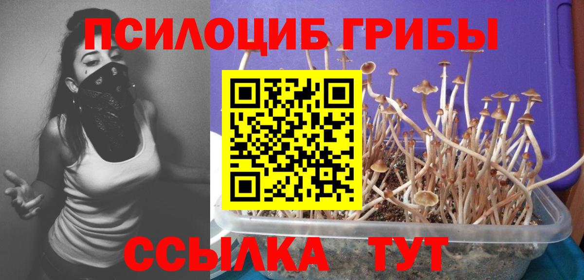 Саранск  Галлюциногенные грибы Magic Shrooms  Вход с VPN 